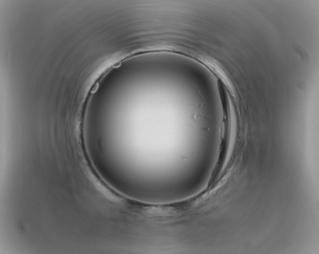 X0000113540805200909181156