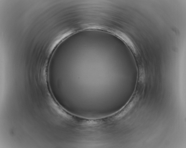 X0000113540806200909181156