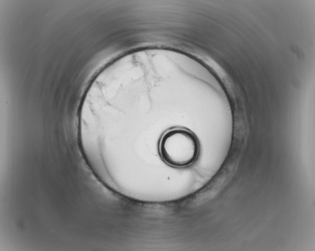 X0000113540807200909181156