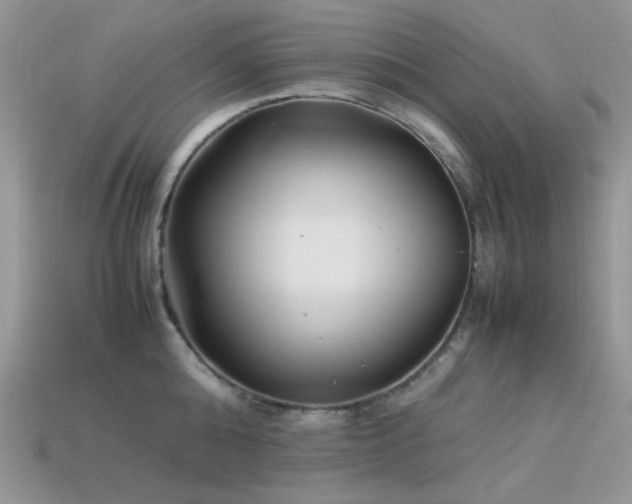 X0000113540808200909181155