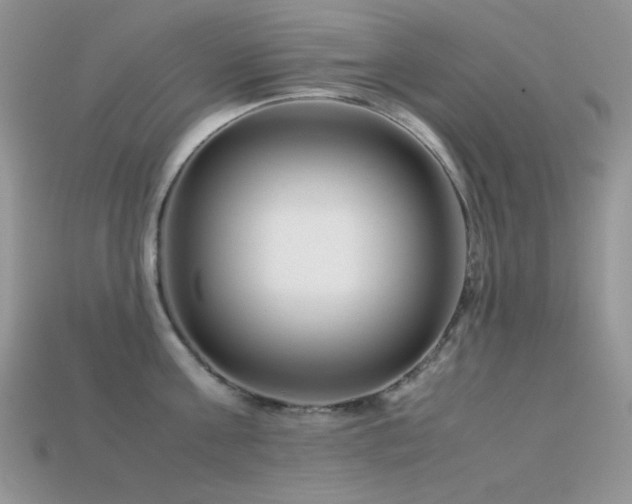 X0000113540811200909181155