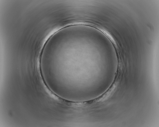 X0000113540813200909181155