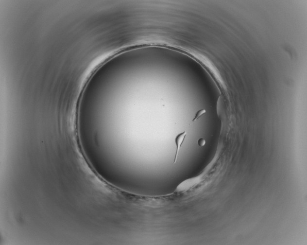 X0000113540815200909181155