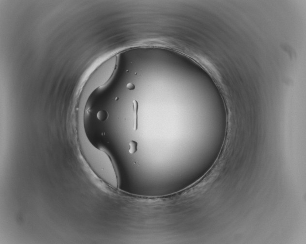 X0000113540816200909181155