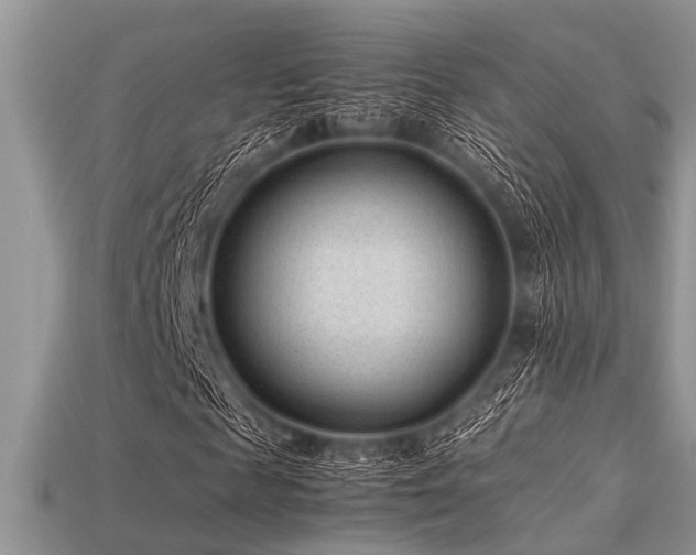 X0000113540817200909181155