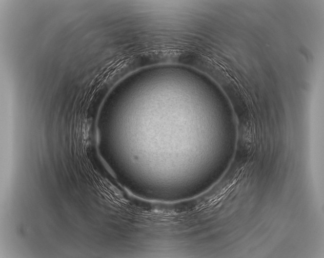 X0000113540818200909181155
