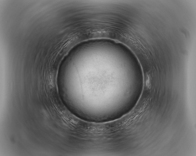 X0000113540819200909181155