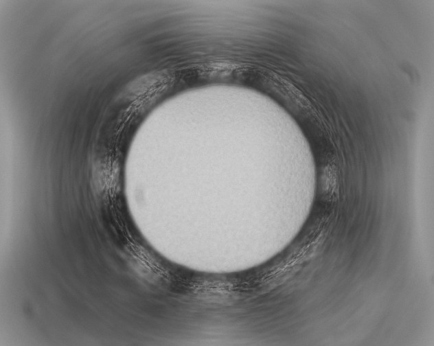 X0000113540820200909181155