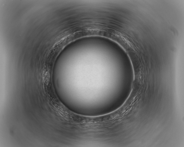 X0000113540821200909181155
