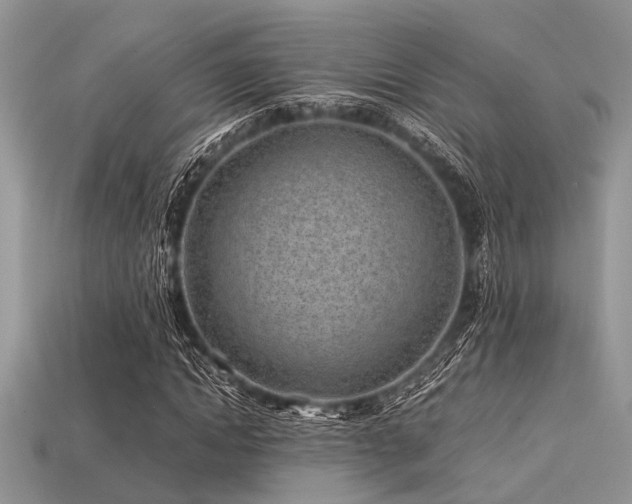 X0000113540822200909181155