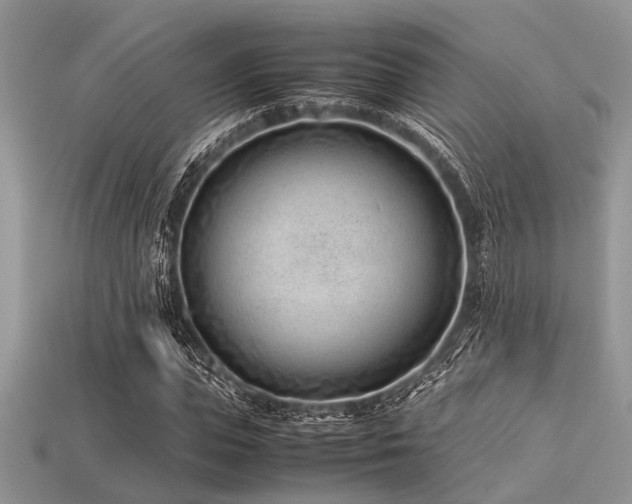 X0000113540823200909181155