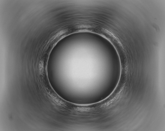 X0000113540825200909181155