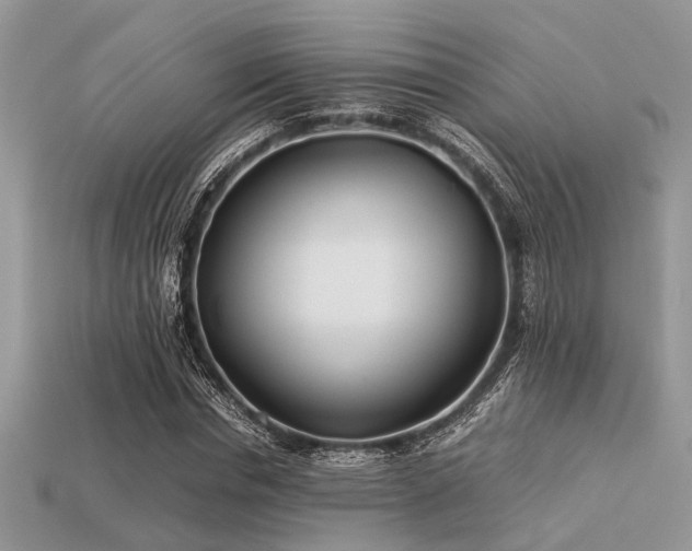 X0000113540826200909181155