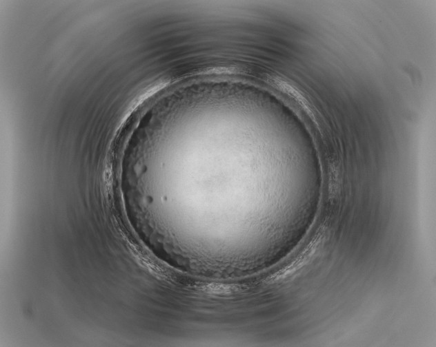 X0000113540827200909181155