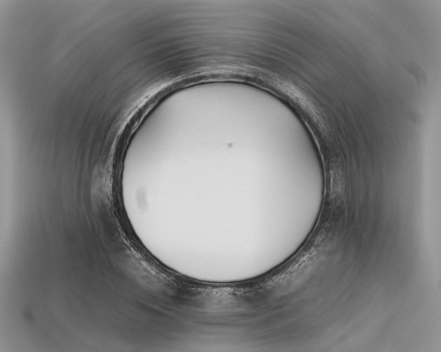 X0000113540828200909181155