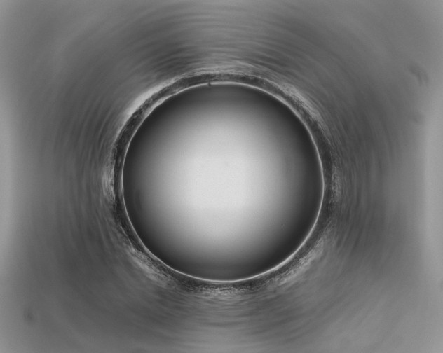 X0000113540830200909181155