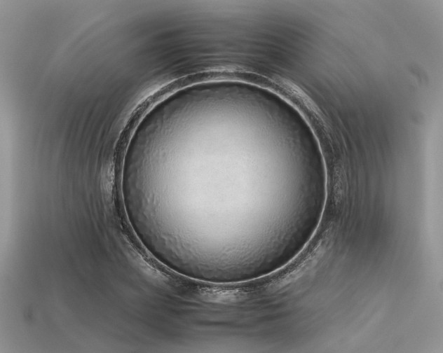 X0000113540831200909181155