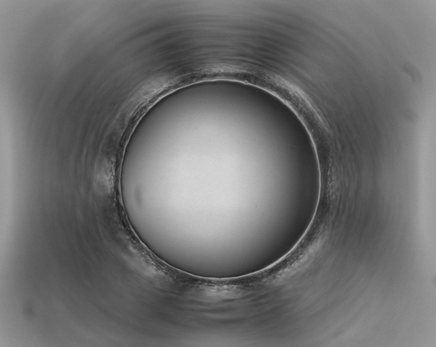 X0000113540833200909181155