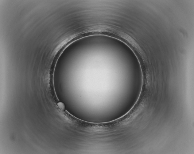 X0000113540834200909181155