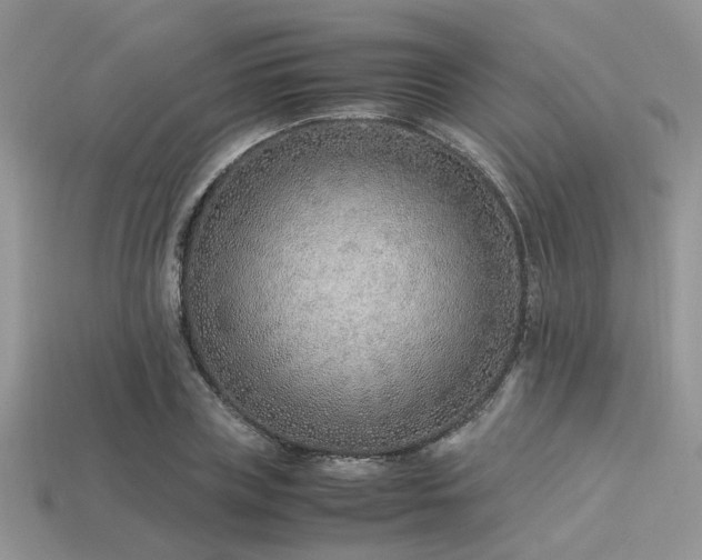 X0000113540835200909181155