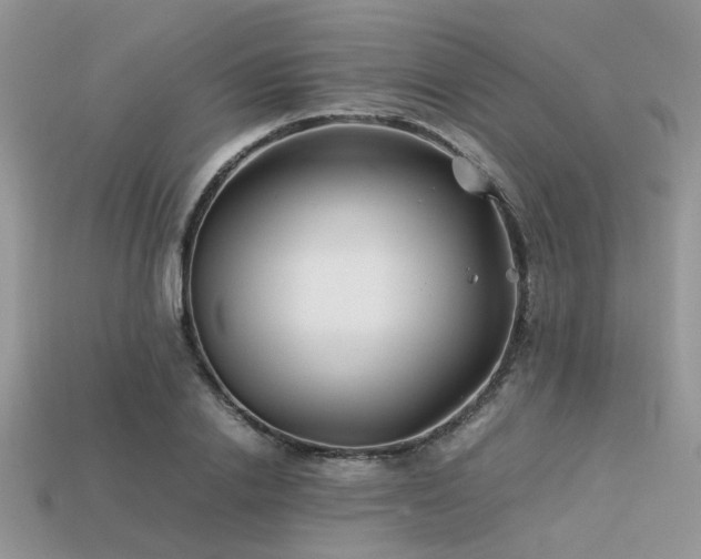 X0000113540838200909181155