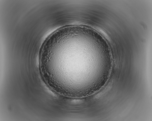 X0000113540839200909181155
