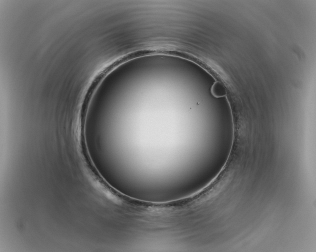 X0000113540840200909181155