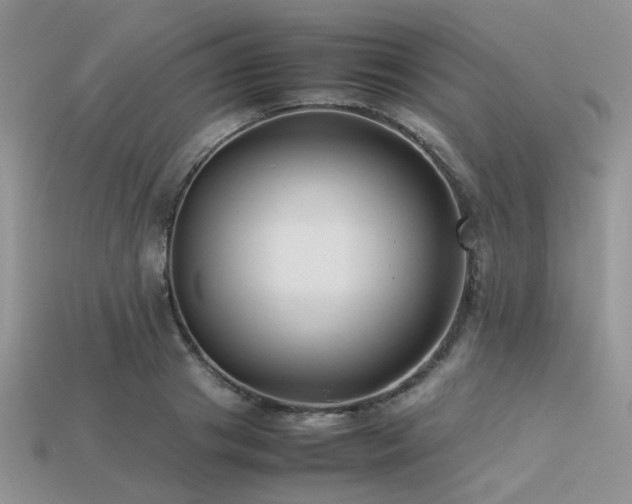 X0000113540841200909181155