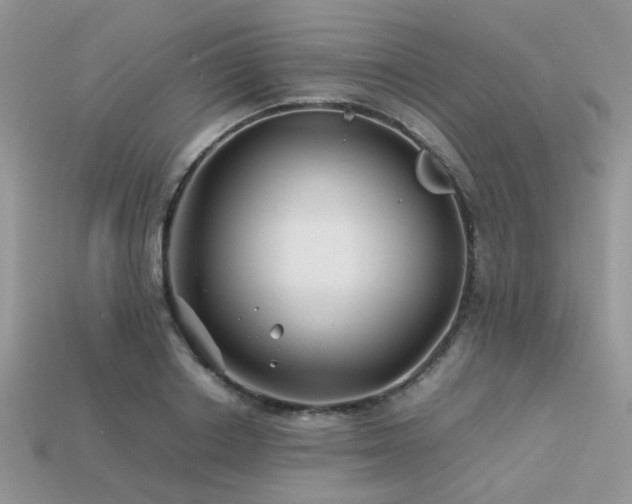 X0000113540842200909181155