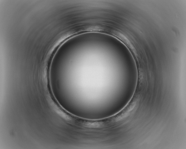 X0000113540843200909181155