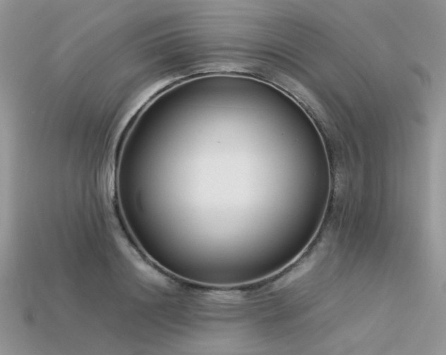 X0000113540844200909181155
