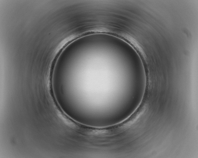 X0000113540845200909181155