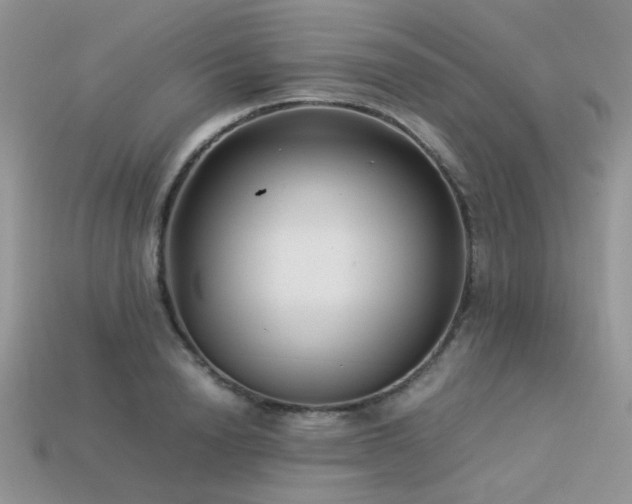 X0000113540846200909181155
