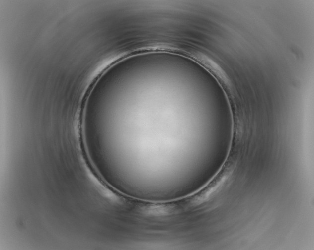 X0000113540847200909181155