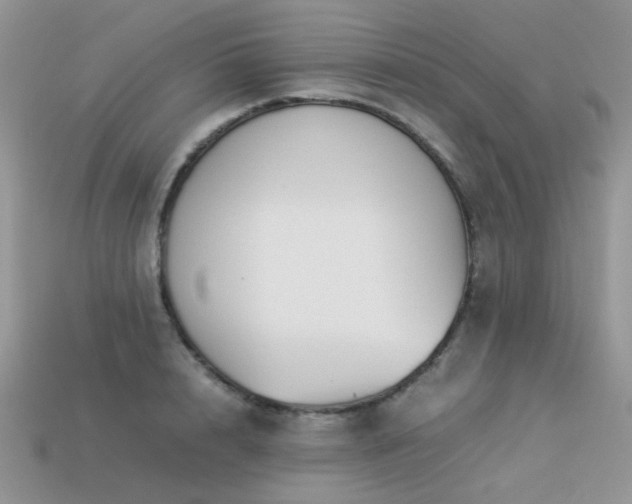 X0000113540848200909181155