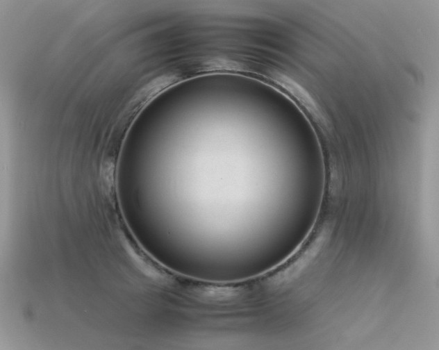 X0000113540849200909181155