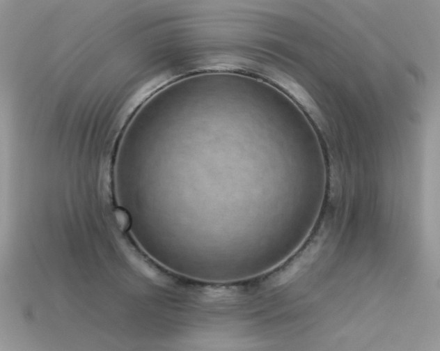X0000113540850200909181155