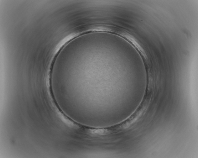X0000113540853200909181155