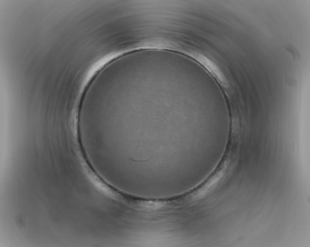 X0000113540854200909181155