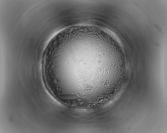X0000113540855200909181155