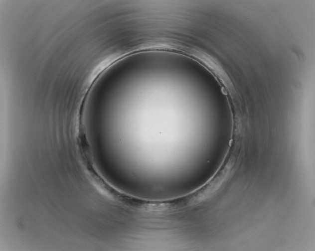 X0000113540858200909181155