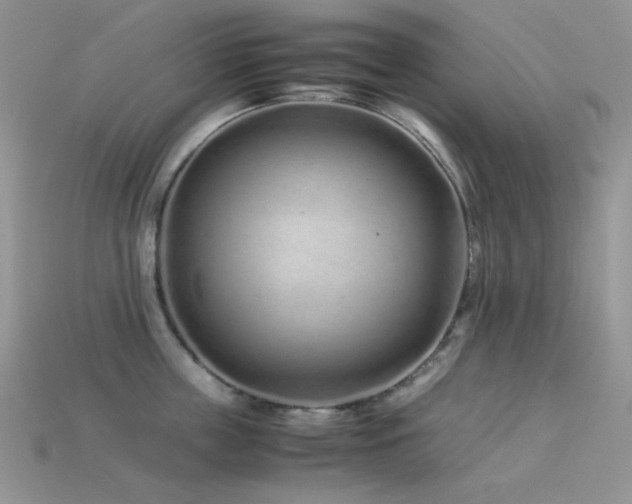 X0000113540859200909181155