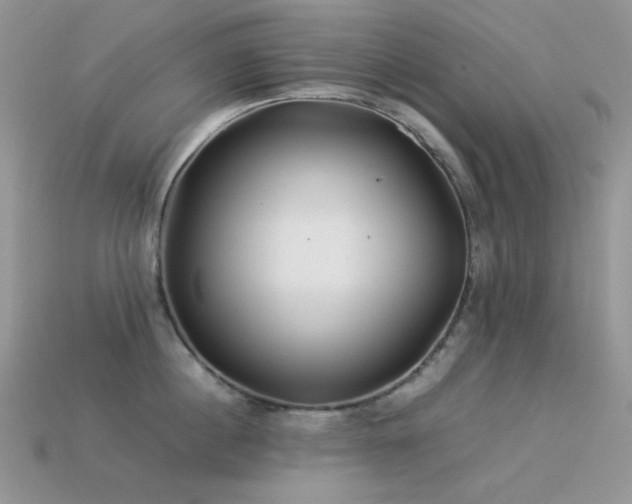 X0000113540860200909181155