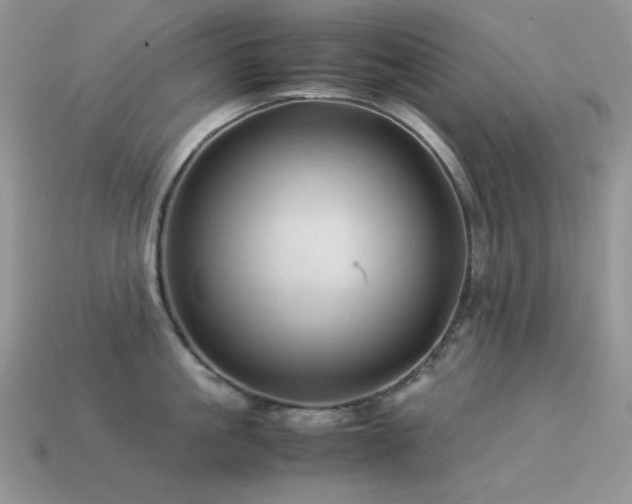 X0000113540861200909181155