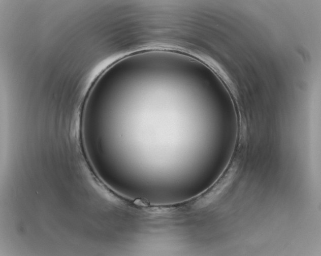X0000113540862200909181155