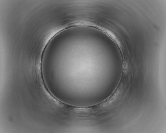 X0000113540863200909181155
