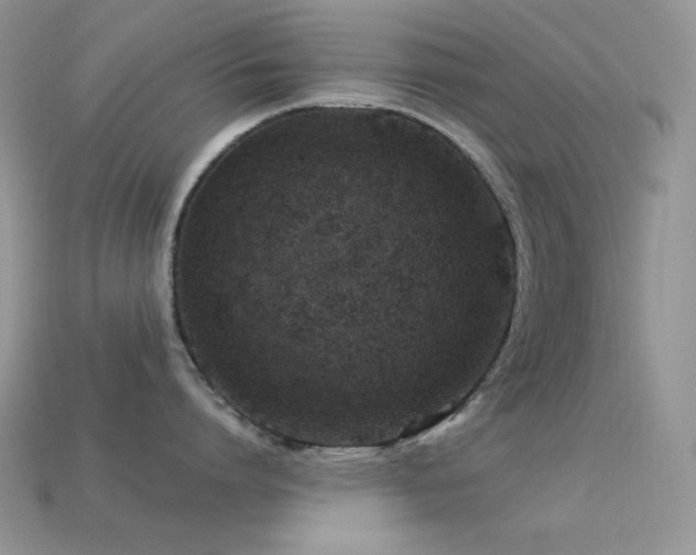 X0000113540864200909181155