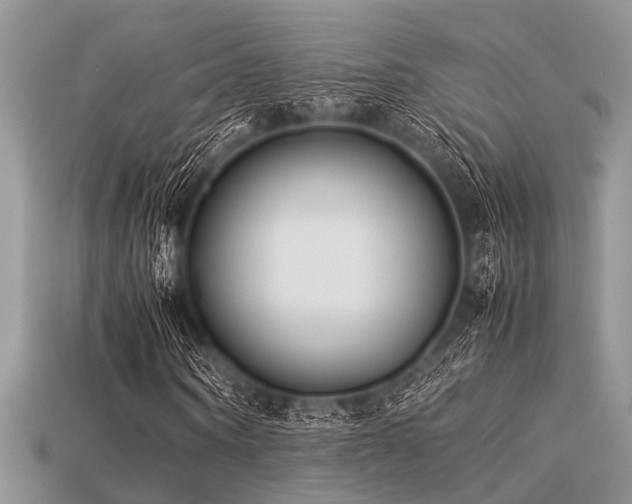 X0000113540866200909181154