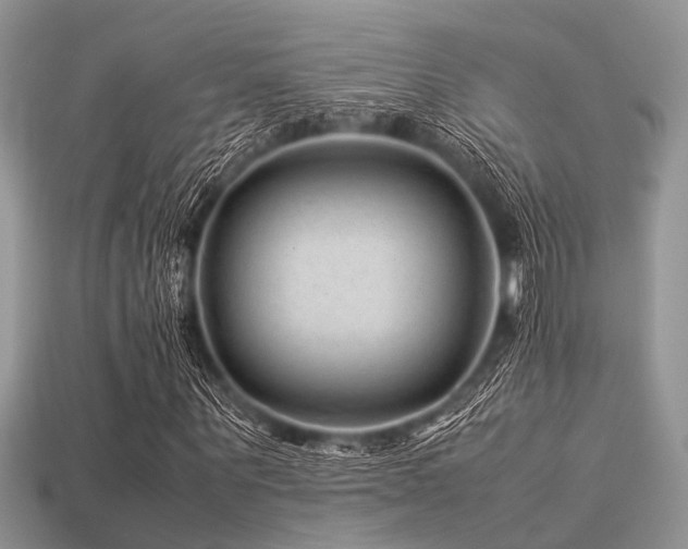 X0000113540867200909181154