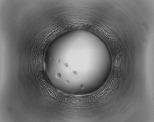 X0000113540868200909181154